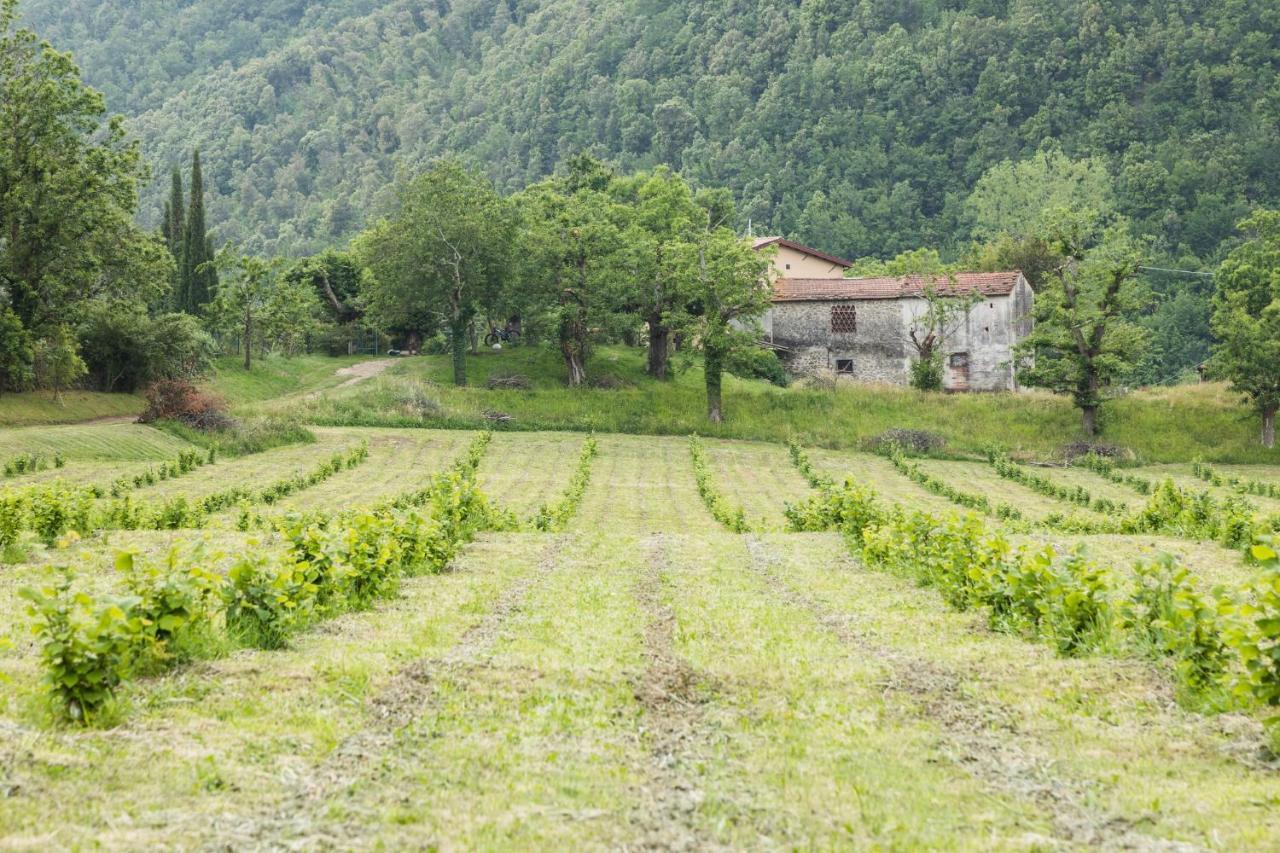 Podere Groppini Fivizzano Exterior foto