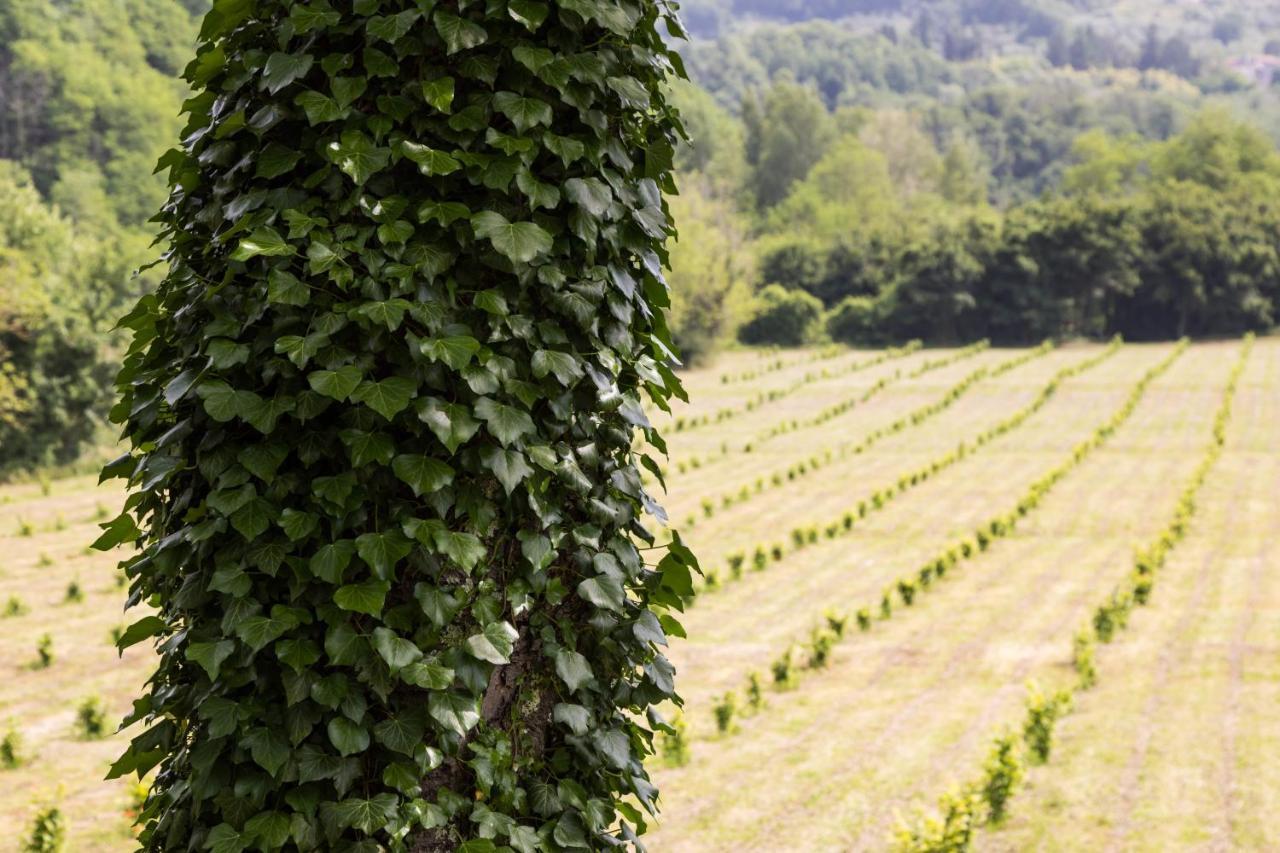 Podere Groppini Fivizzano Exterior foto