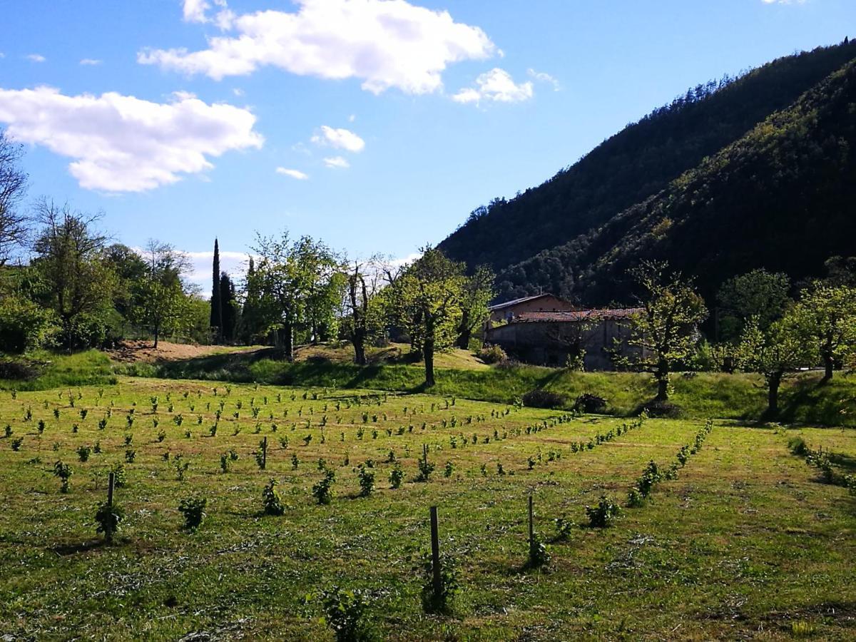 Podere Groppini Fivizzano Exterior foto